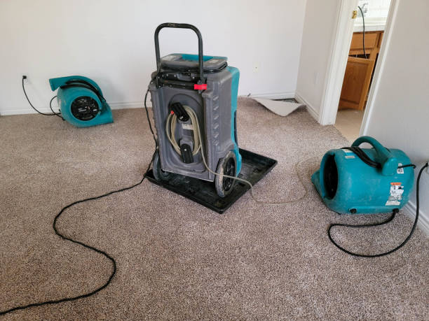 Fire Damage Restoration in LA