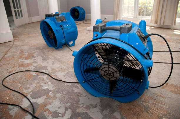 Best Water damage restoration near me  in New Roads, LA