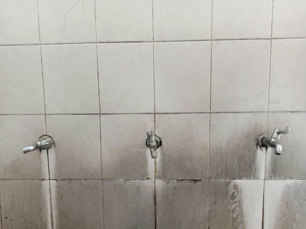 Best Water damage contractors near me  in New Roads, LA