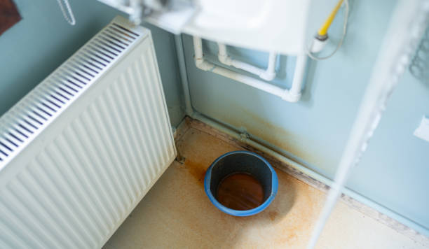 Best Carpet water damage restoration  in New Roads, LA