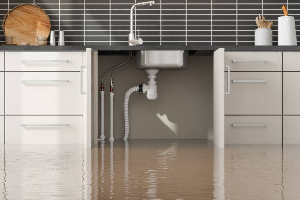 Best Water damage cleanup near me  in New Roads, LA