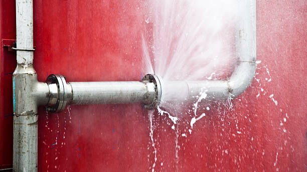 Best Local water damage restoration  in New Roads, LA