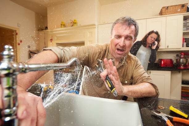 Best Professional water damage repair  in New Roads, LA